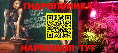 крисы Будённовск