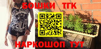 крисы Будённовск