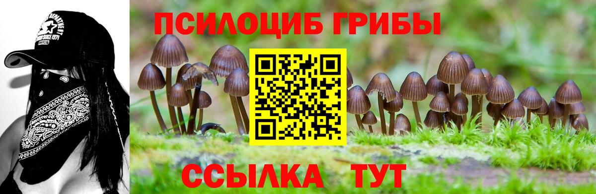 Галлюциногенные грибы MAGIC MUSHROOMS Лыткарино