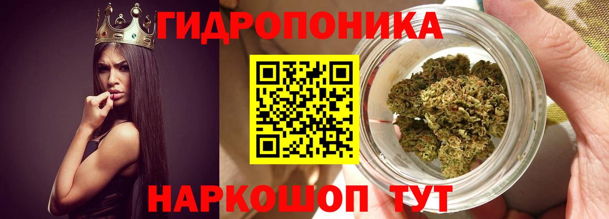 Шишки марихуана MAZAR  Вход с VPN  Лыткарино  Бошки Шишки план  Бошки Шишки ГИДРОПОН  Канабис марихуана 